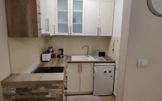 Djurdja Apartment Novi Sad