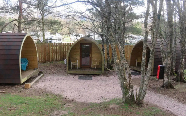 Pine Marten Bar The Pods