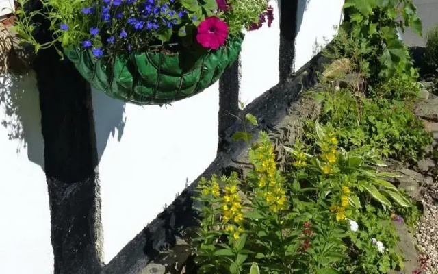 Vine Cottage