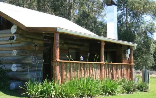 Love Earth Farm