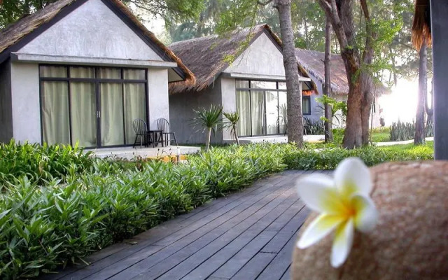 Hansar Cha am Casuarina
