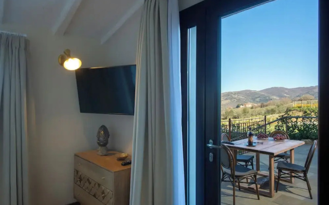 Villa Chianti With Infinity Pool And Vineyard View