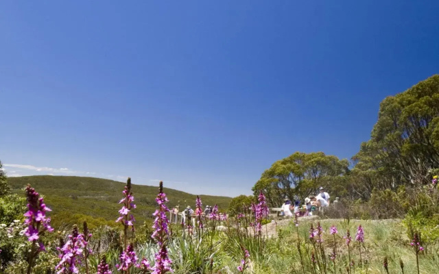 Snow Gum Apartment 2