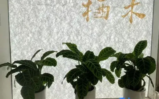 Qinhuai Qimu Homestay
