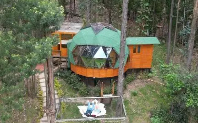 Libélula Glamping