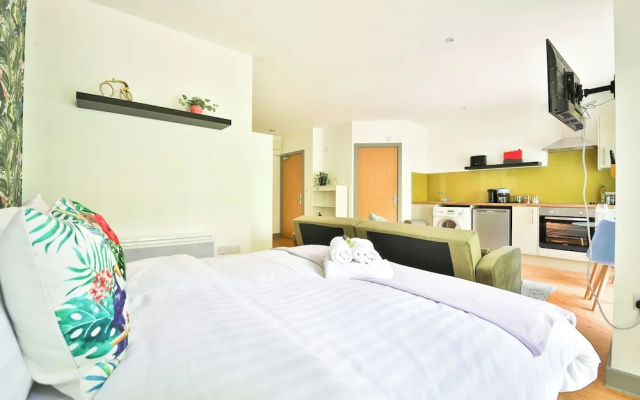 Princess Lofts Studios - Swansea City Centre