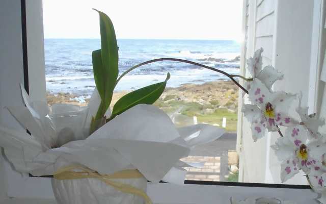 138 Marine Beachfront Guesthouse