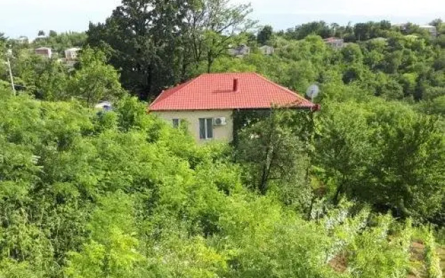 Guest house LIA
