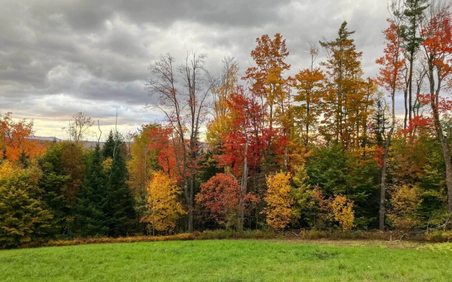 Londonderry Retreat ~ 3 Mi to Lowell Lake!