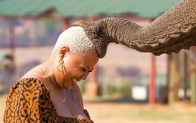 Askari Game Lodge