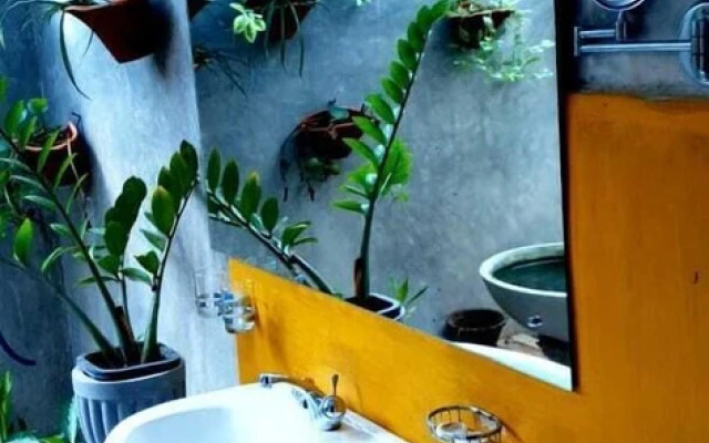 Pavana Hotel
