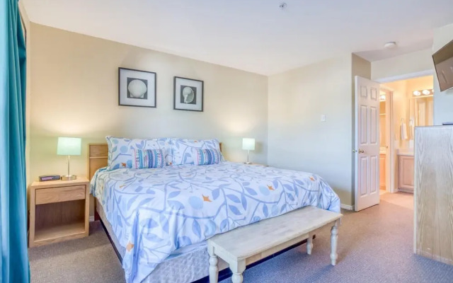 Birds Nest Suite