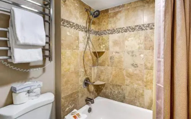 1088 Wild Irishman Condo