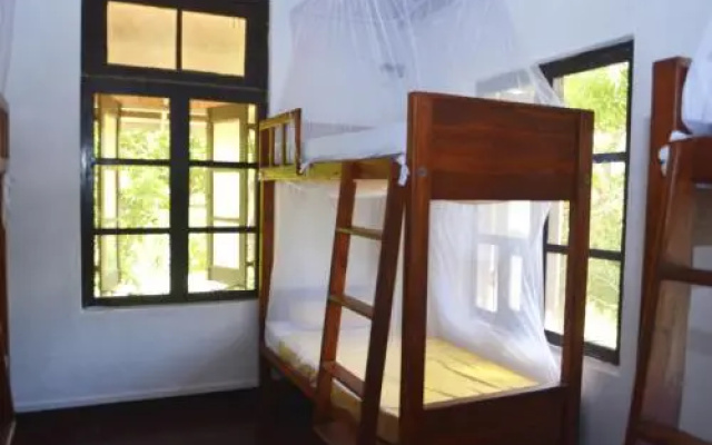 Fig and Gecko Hostel