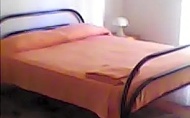 B&B Camelie
