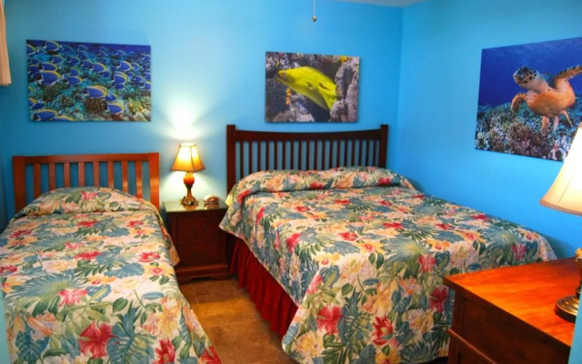 Oceanfront Kihei Condo With On-site Beach Access!