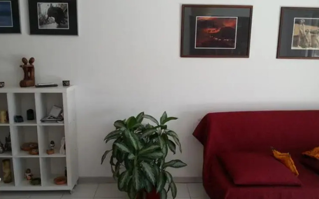 il trampolino