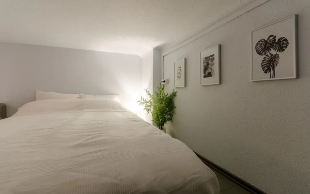 Wasabi Apartment