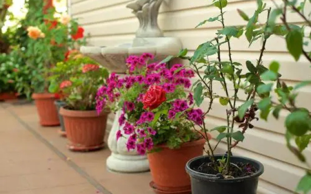 Guest House Sea Breeze