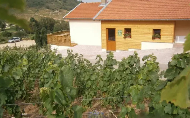 Gite de Groupe de lArtisan-Vigneron