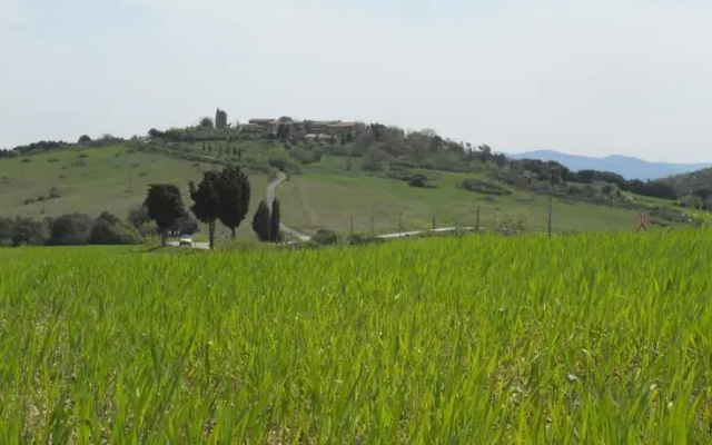 Casamelia