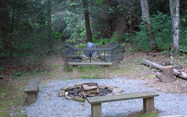 Coon`s Den-blue Ridge Cabin Rental