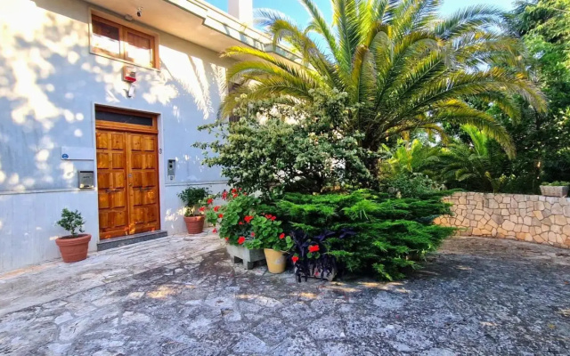 Private house in Locorotondo - Puglia - Italy