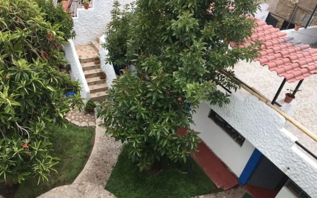 Las Palmeras Eco Hostel
