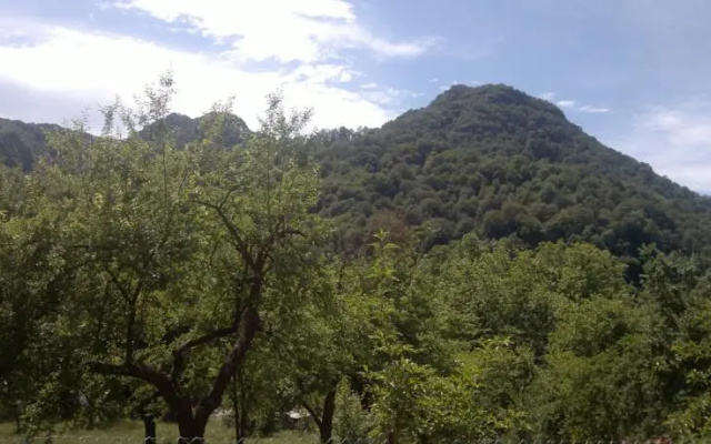 Villa Nanevi