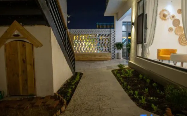 Turks Flip Pigeon Homestay