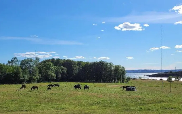 Hotel Jeløy Radio