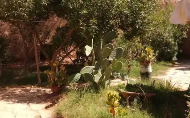 La maison saharaouie