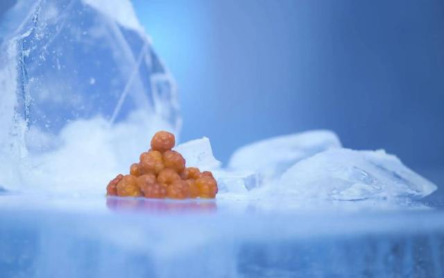 Sorrisniva Igloo Hotel