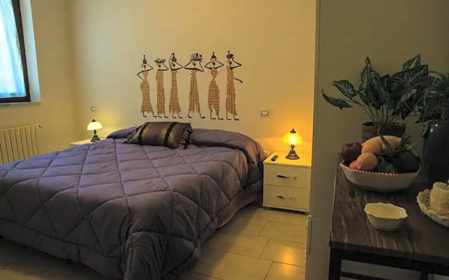 B&B Xenia