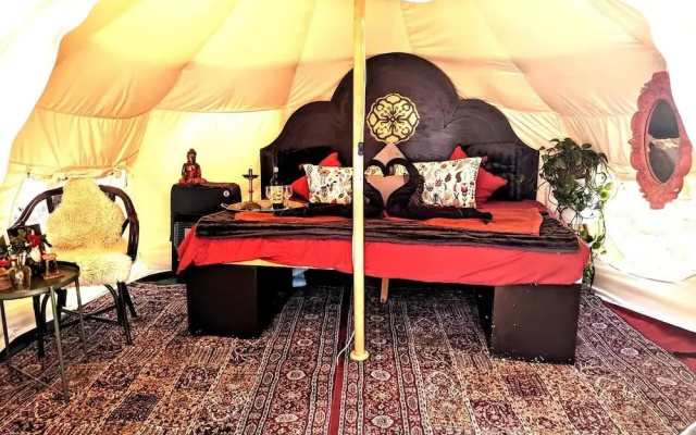 Unique Stargazing Escape With Ocean View