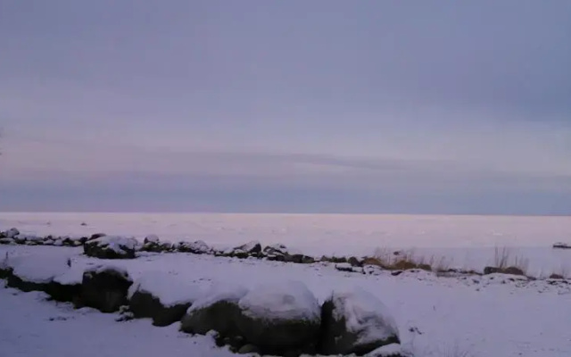 Abaja Farm