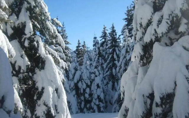 Suite Chalet