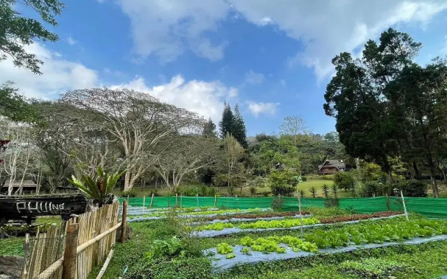 Phu Ing Fah Resort