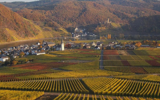 Weingut im Moselkrampen