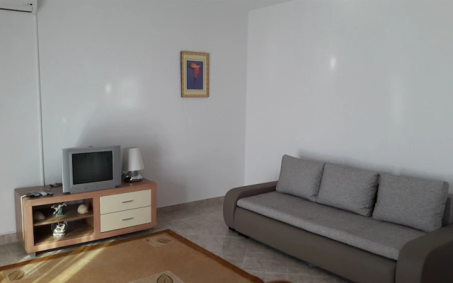 Apartment Branka