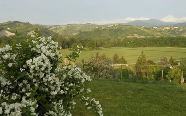 Cà Mimia