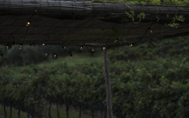 Residence La Vigna