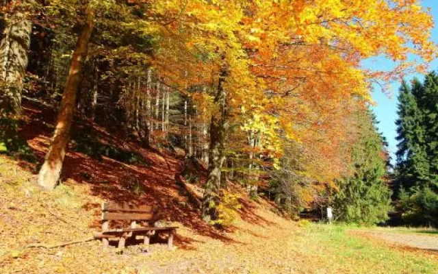 Thüringer Waldbaude