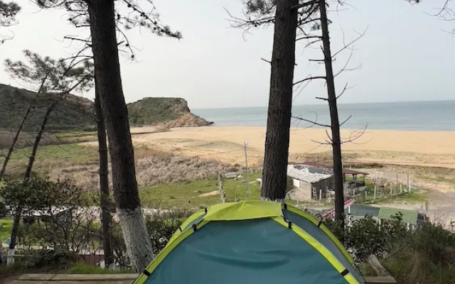 Sb kamp