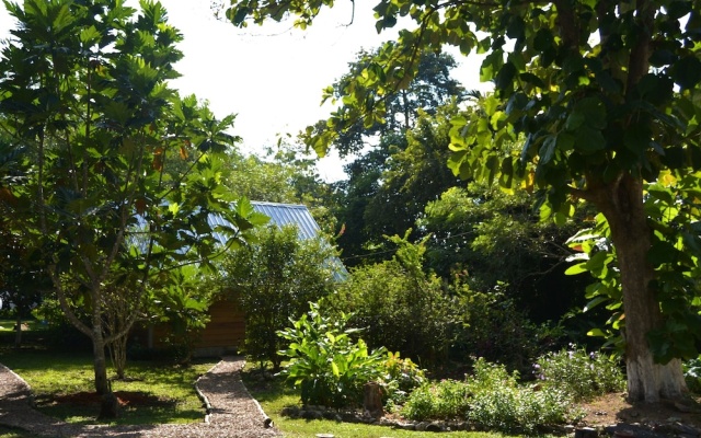 Private 2-bedroom Jungle Cabin in Tropical Garden, San Ignacio