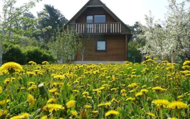 Отель Holiday House Niedras Jurmala Латвия, Юрмала - отзывы, цены и фото номеров - забронировать отель Holiday House Niedras Jurmala онлайн