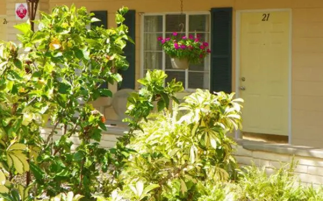 Island Breeze Inn