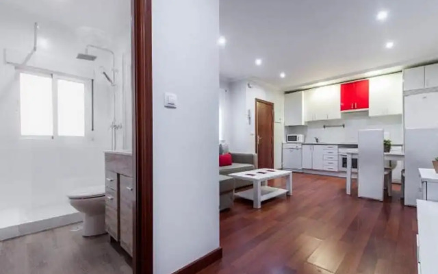 Apartamento Plaza Castilla