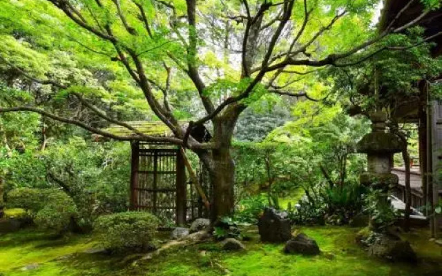 Machiya Kushige