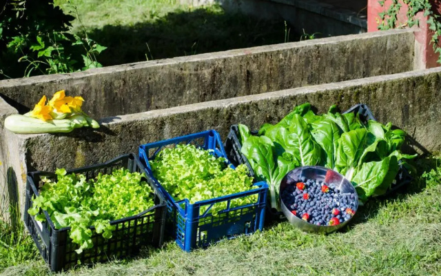 Cascina Foresto